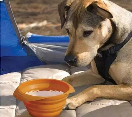 東莞<a href='http://www.vippeijian.com/' class='keys' title='點(diǎn)擊查看關(guān)于帝博硅膠制品廠的相關(guān)信息' target='_blank'>帝博硅膠制品廠</a>